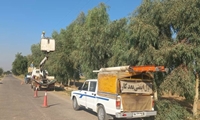 اقدامات برنامه‌ریزی‌شده مدیریت توزیع برق گتوند در راستای افزایش پایداری شبکه