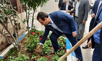 به مناسبت روز درختکاری؛ کاشت نهال توسط مدیرعامل شرکت توزیع برق خوزستان