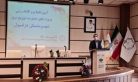 مدیر عامل شرکت توزیع نیروی برق خوزستان از بهره برداری پروژه های برقرسانی به دزفول با اعتبار 180 میلیارد ریال خبر داد.
