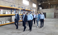 گزارش تصویری از بازدید میدانی مدیرعامل شرکت توزیع نیروی برق خوزستان در شهرستان دشت آزادگان