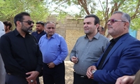 بازدید مدیرعامل شرکت توزیع نیروی برق خوزستان از وضعیت شبکه برق شهری و روستایی شادگان