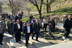 توسعه شبکه برق روستایی دزپارت شتاب می گیرد